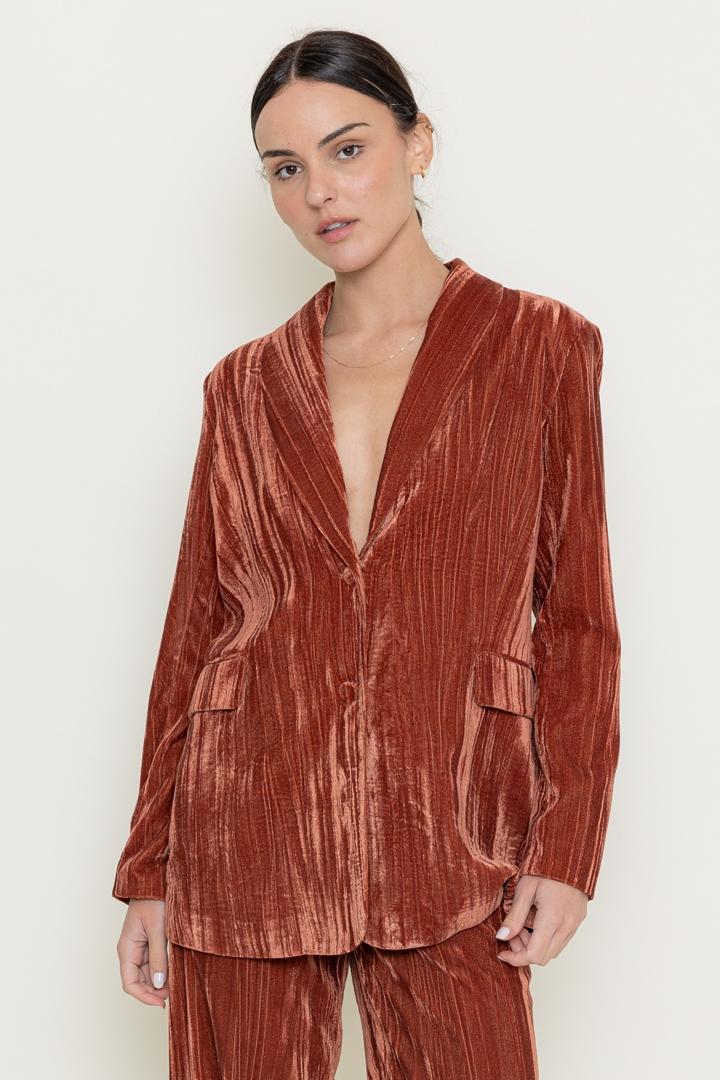 Blazer Wrinkle Velvet Rosewood
